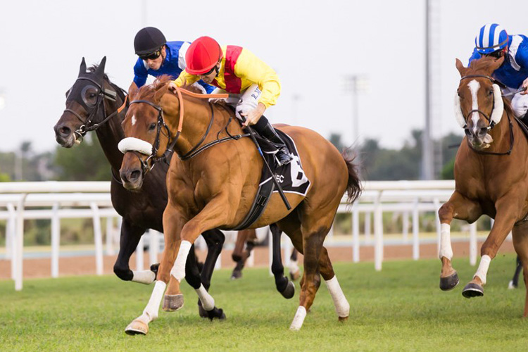 Recordman winning the Al Futaisi Island