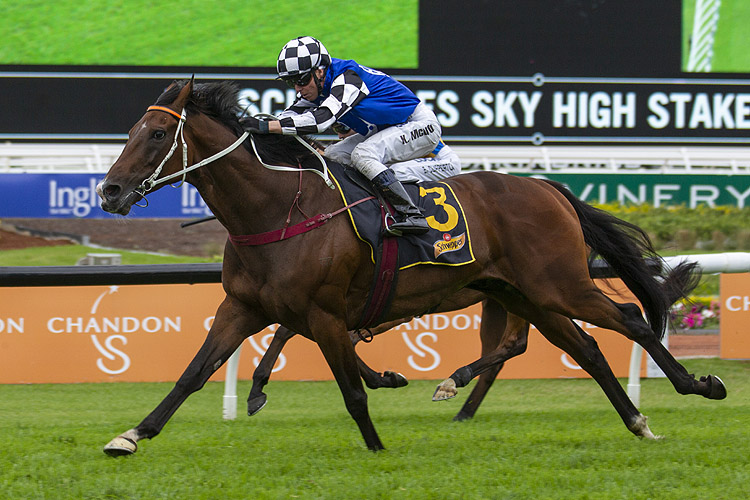 2020 Sky High Stakes Race History