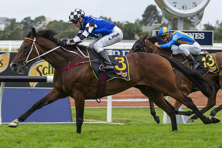 Red Cardinal winning the Schweppes Sky High Stakes