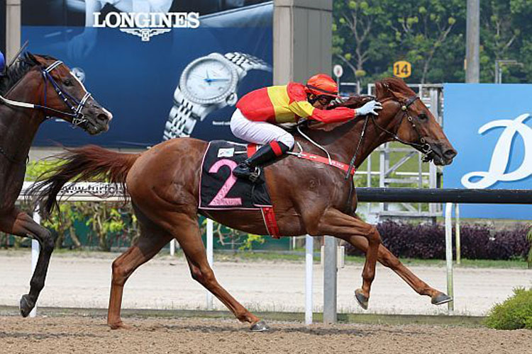 Red Dawn winning the CLASS 4 Red Dawn winning the CLASS 4