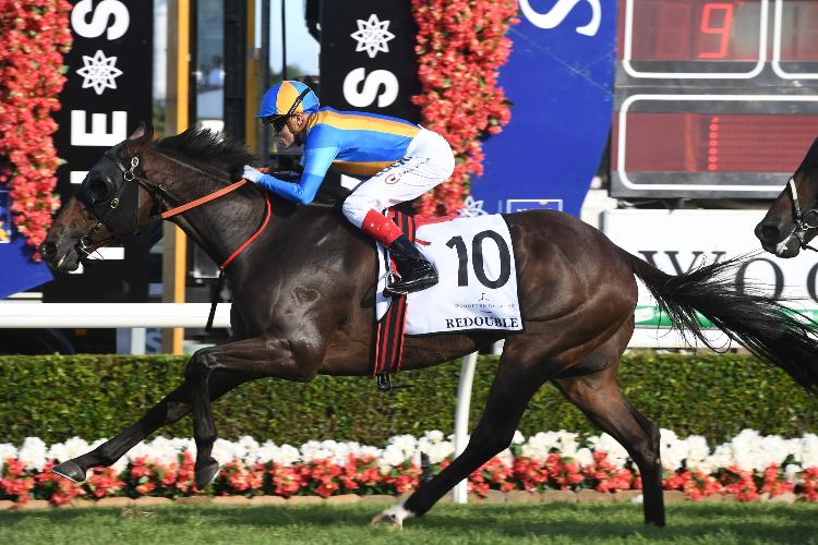 REDOUBLE winning the Woodford Magic Millions Cup. REDOUBLE winning the Woodford Magic Millions Cup.