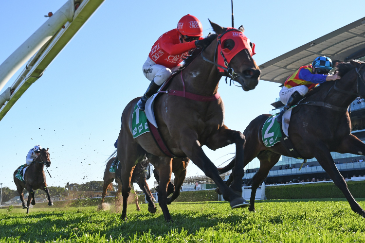 REDZEL winning the Forum Concorde Stakes.