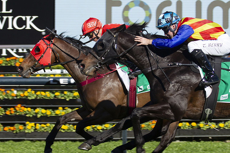 Redzel winning the Forum Concorde Stakes