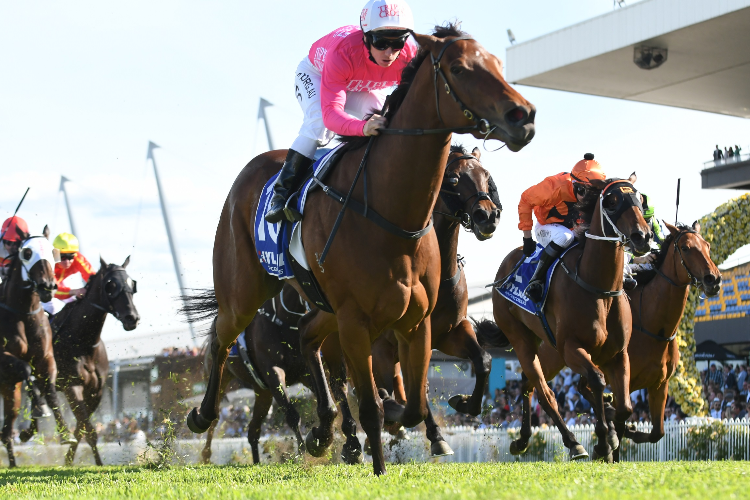 REELEM IN RUBY winning the Hot Danish Stakes