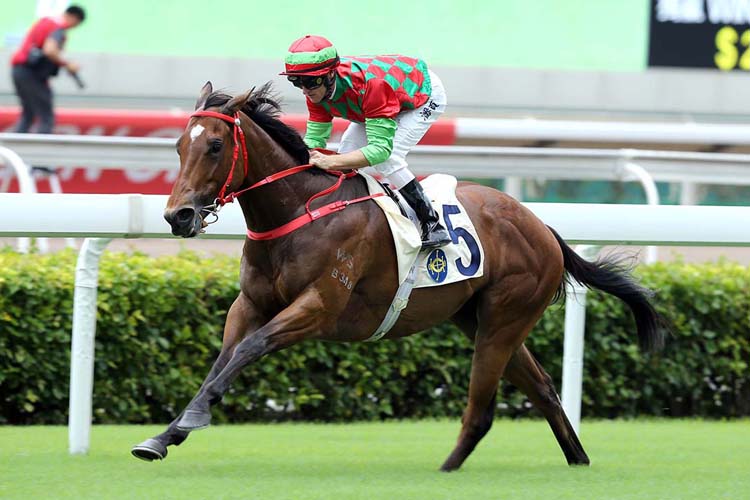Regency Legend is looking for back-to-back HKSAR Chief Executive’s Cup wins.