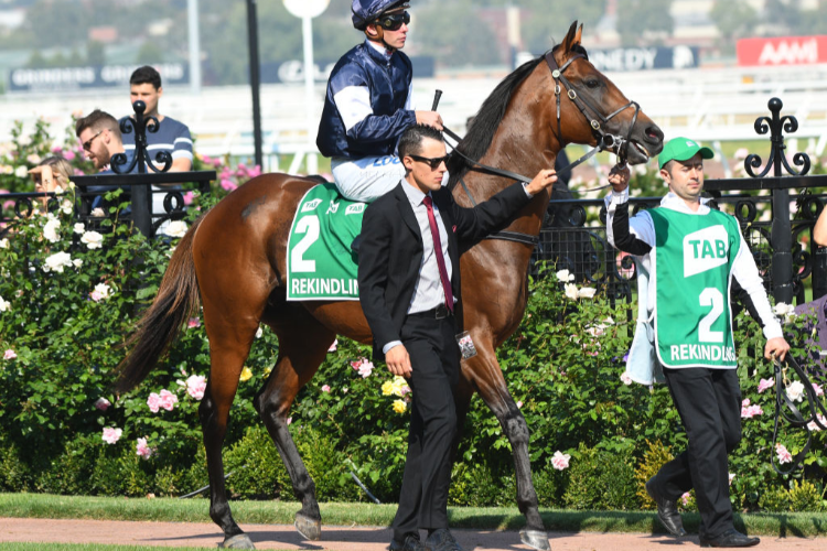 REKINDLING walks during Melbourne Cup Racing at Flemington in Melbourne, Australia.