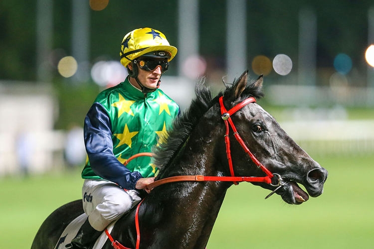 Reliable Team is a top-rater at Happy Valley on Wednesday.