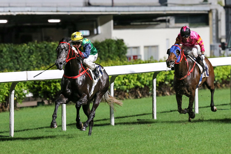 Horse Racing Today Racing News Hong Kong Racing And Sports