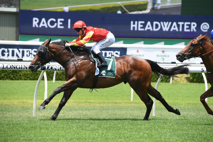 RETURN WITH HONOUR winning the Headwater At Vinery Handicap.