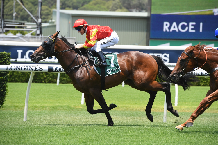 RETURN WITH HONOUR winning the Headwater At Vinery Handicap.
