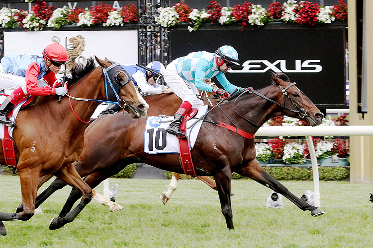 Reykjavik winning the Network 10 Chatham Stakes