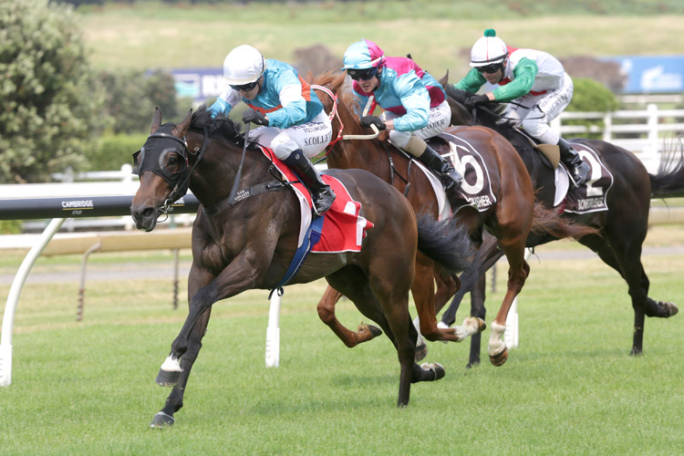 Riodini winning the Mitchell Fam. Bonecrusher Stks