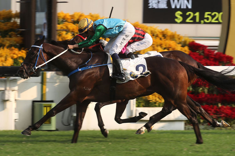 Rise High goes for Fownes in Sunday’s Hong Kong Cup.
