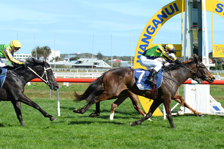 Riva Capri winning the The O'Learys Fillies Stakes