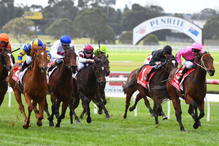 Early Scratchings And Track Conditions For Sandown Hillside Racing
