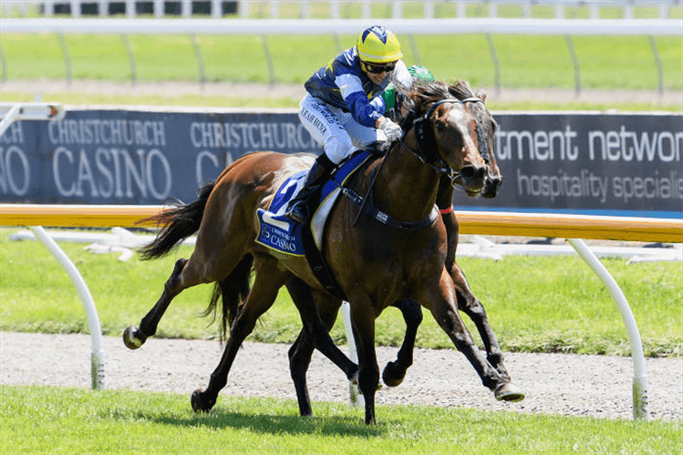 RIVIERA ROCK winning Cashmere Estate - Live Without Compromise Premier during 1000 Guineas Day at Riccarton Park in Christchurch, New Zealand.