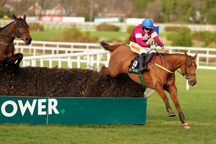 ROAD TO RESPECT running in the Unibet Irish Gold Cup at Leopardstown in Dublin, Ireland.