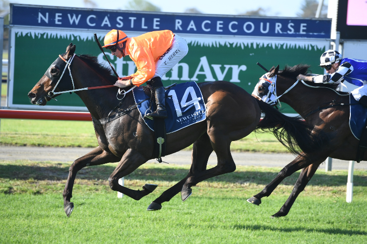 Rock winning the Aust. Bloodstock Cameron Hcp.