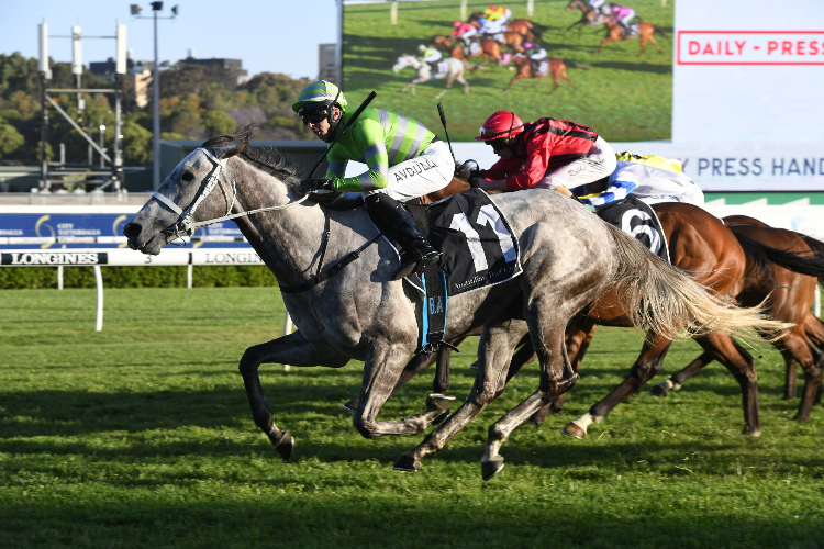 ROMANI GIRL winning the Daily Press Handicap.