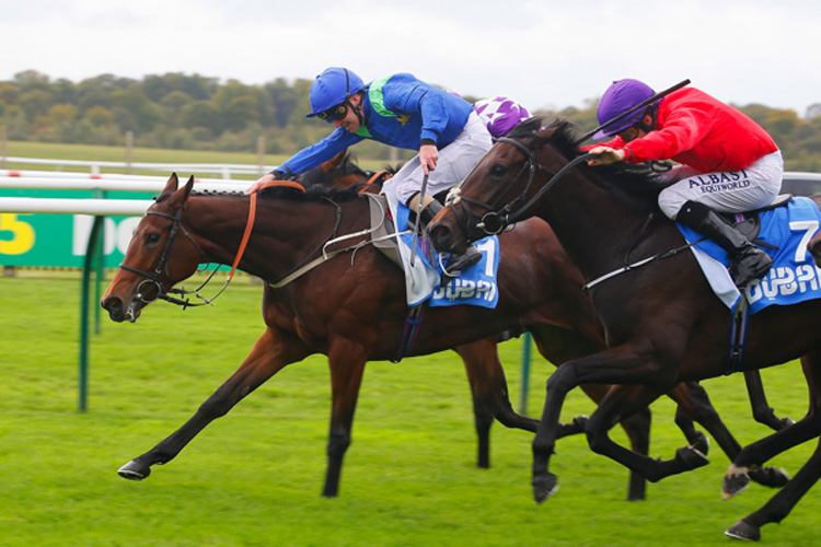 Rose Of Kildare winning the Godolphin Lifetime Care Oh So Sharp Stakes (Group 3)