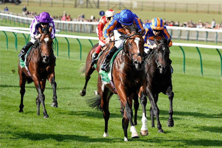 ROYAL DORNOCH winning the Royal Lodge Stakes at Newmarket in Newmarket, England.
