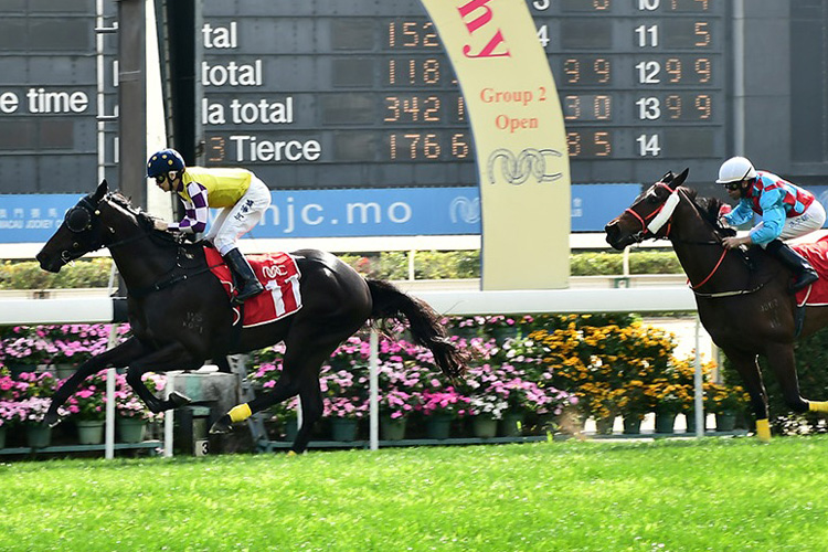 Sacred Capital winning the SPRING TROPHY (GROUP 2)