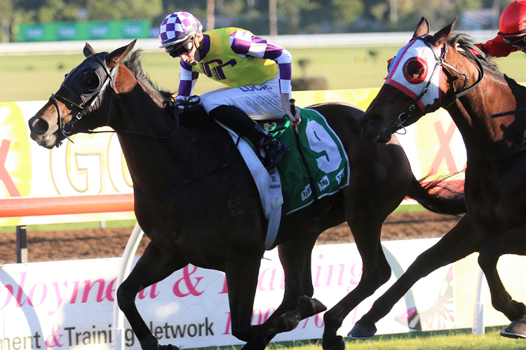 Sacred Day winning the Listed Grafton Cup (2350m).