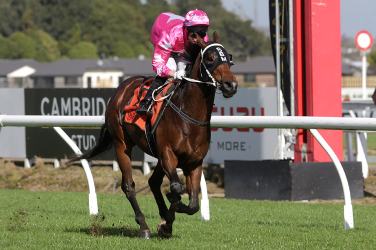 Lisa Allpress will ride Sai Fah in the Listed Courtesy Ford Ryder Stakes (1200m) at Otaki on Saturday.