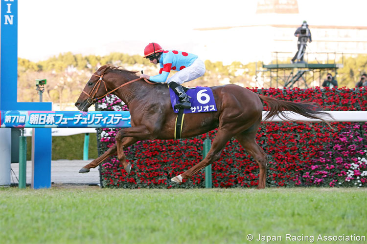 SALIOS winning the Asahi Hai Futurity Stakes in Hanshin, Japan.