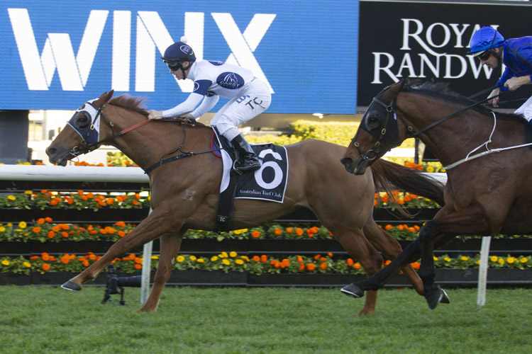 Samadoubt winning the Winx Stakes