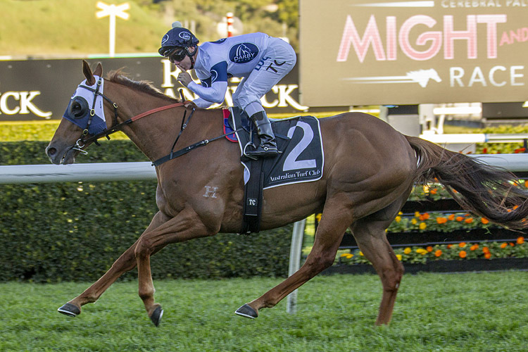 Samadoubt winning the Bob Ingham Chelmsford Stakes