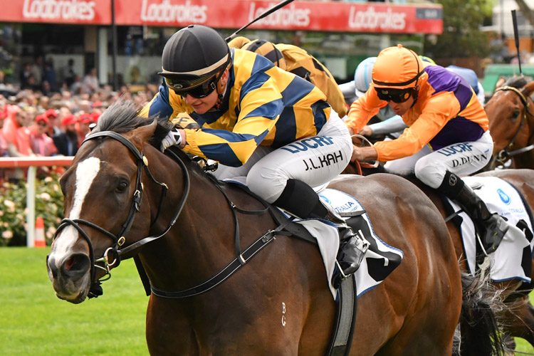 Sartorial Splendor winning the 1300 Australia Stakes