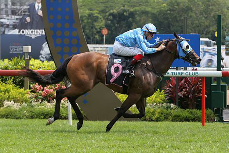 Saturday winning the THE PEAK STAKES RESTRICTED MAIDEN