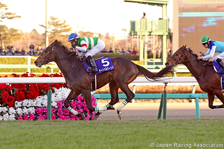 SATURNALIA winning the Hopeful Stakes in Nakayama, Japan.