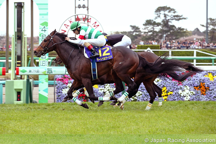 SATURNALIA winning the Satsuki Sho in Nakayama, Japan.