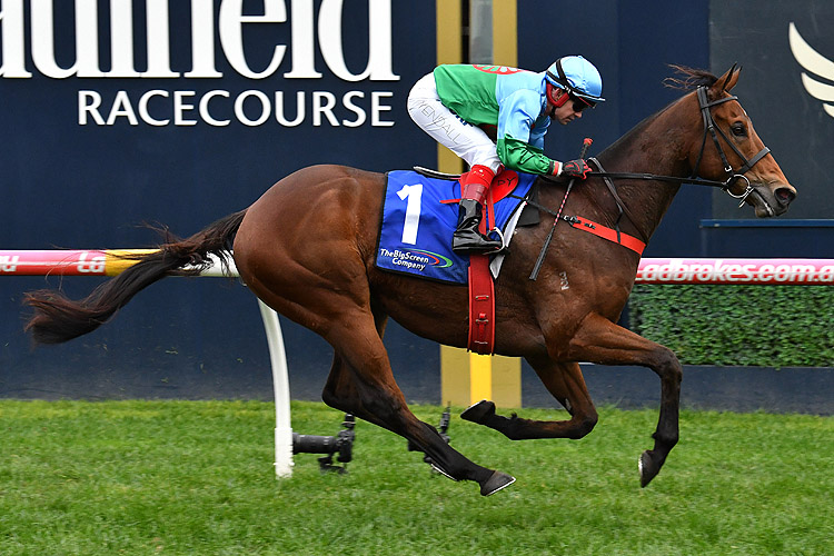 Scales Of Justice winning the Big Screen Co Bletchingly Stks