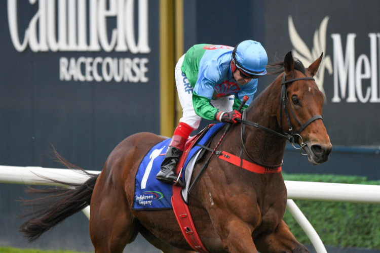 SCALES OF JUSTICE won the Hyperion Stakes in 2017.