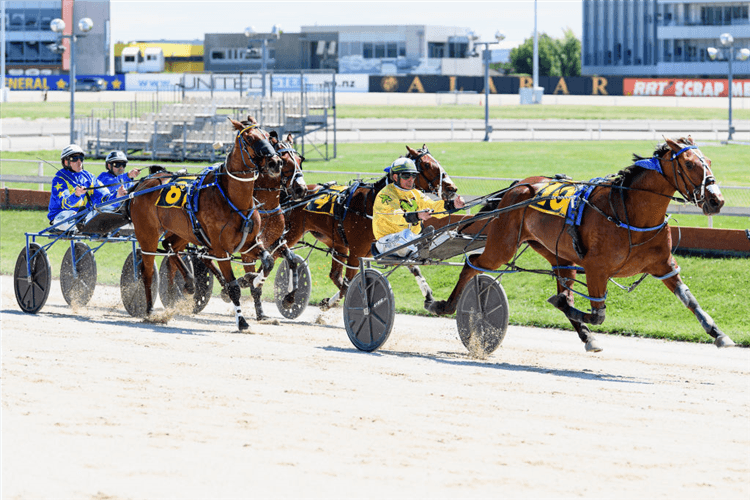 SCORCHA winning Graphite Developments Show Day Futurity Mobile Pace during the Show Day Races at Addington Raceway in Christchurch, New Zealand.