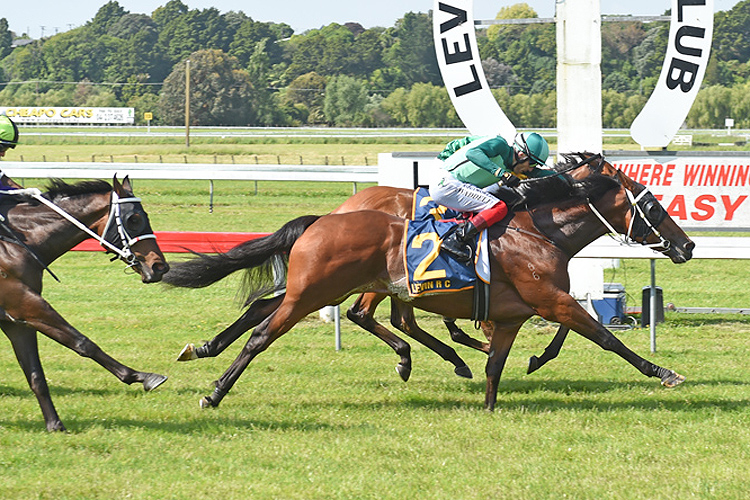 Scorpz winning the Lucia Valentina Wellington Stk