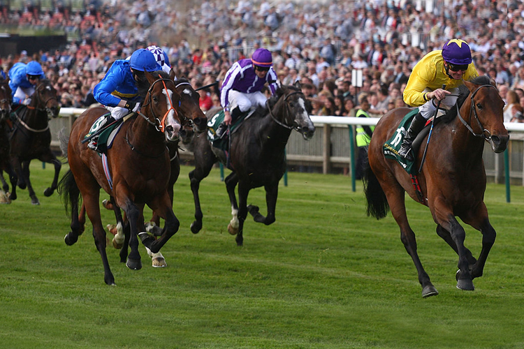 SEA THE STARS winning the 2000 guineas Stakes Race run in Newmarket, England.