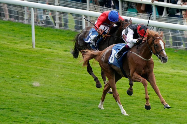 SEARCH FOR A SONG winning the British EBF & Sir Henry Cecil Galtres Stakes (Fillies And Mares Listed) in York, England.