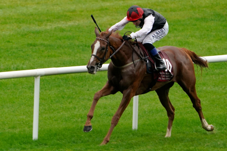 SEARCH FOR A SONG winning the International Irish St. Leger.