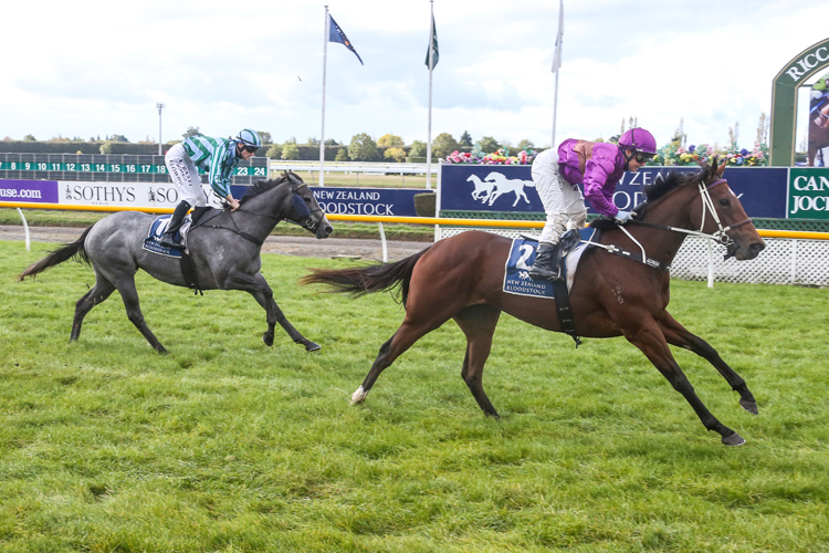 Secret Allure winning the Nzb Airfreight Stakes