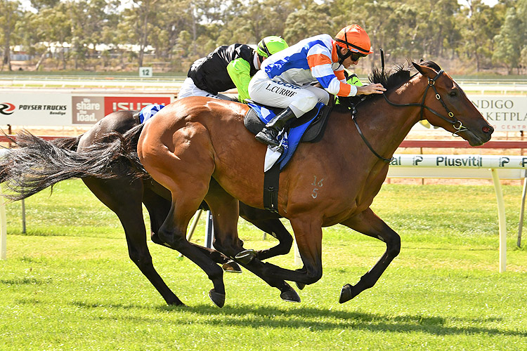 Secret Blaze winning the The Big Screen Company Hcp Secret Blaze winning the The Big Screen Company Hcp