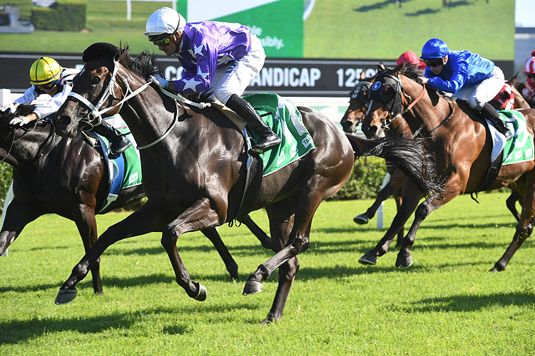 Seles winning the Tab.Com.Au (Bm70)