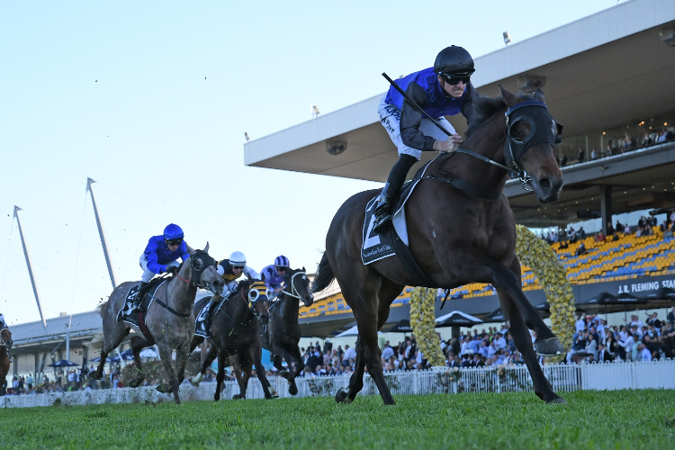 SHADOW HERO winning the Antler Gloaming Stakes