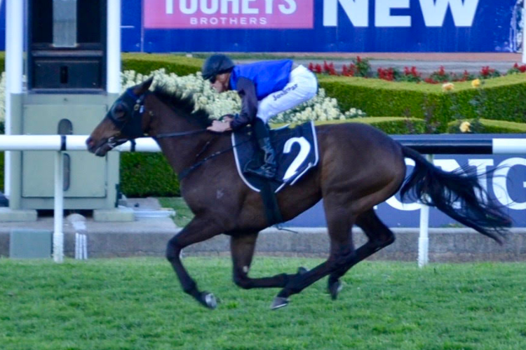 SHADOW HERO winning the Gloaming Stakes.