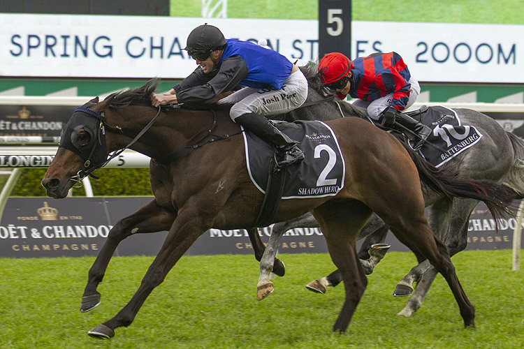 Shadow Hero winning the Moet & Chandon Spring Champion