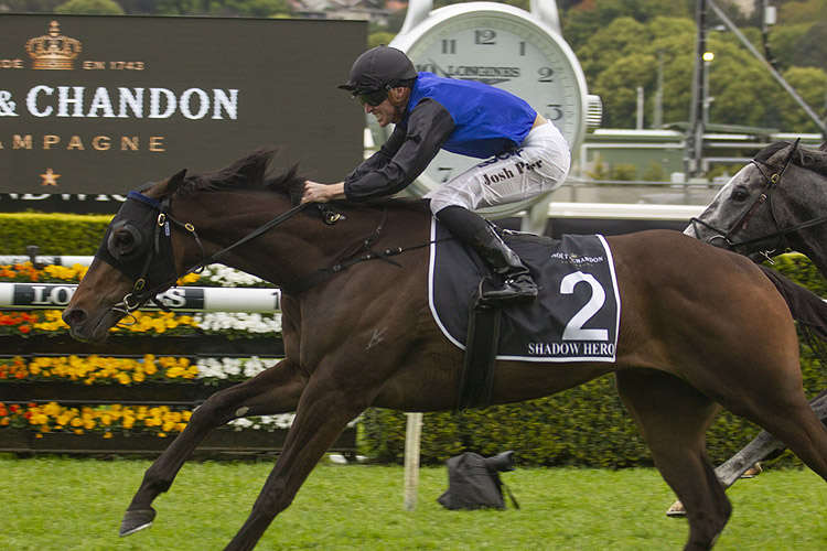 Shadow Hero winning the Moet & Chandon Spring Champion