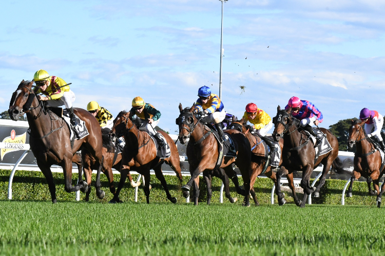 SHE'S FURLINE winning the Kensington Handicap.